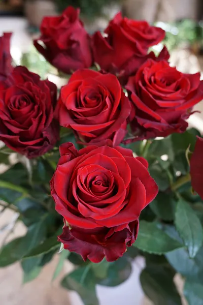 Fleurs- Flower - Bouquet of 11 Roses